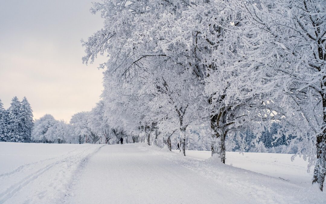 Blues hivernal