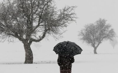 LE BLUES HIVERNAL